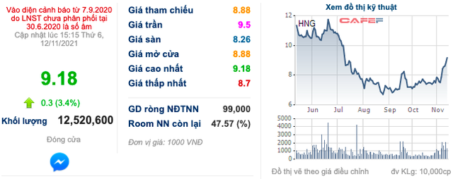 Cổ phiếu HAG liên tục tăng trần, bầu Đức đã bỏ túi thêm hơn 800 tỷ chỉ sau nửa tháng - Ảnh 3.