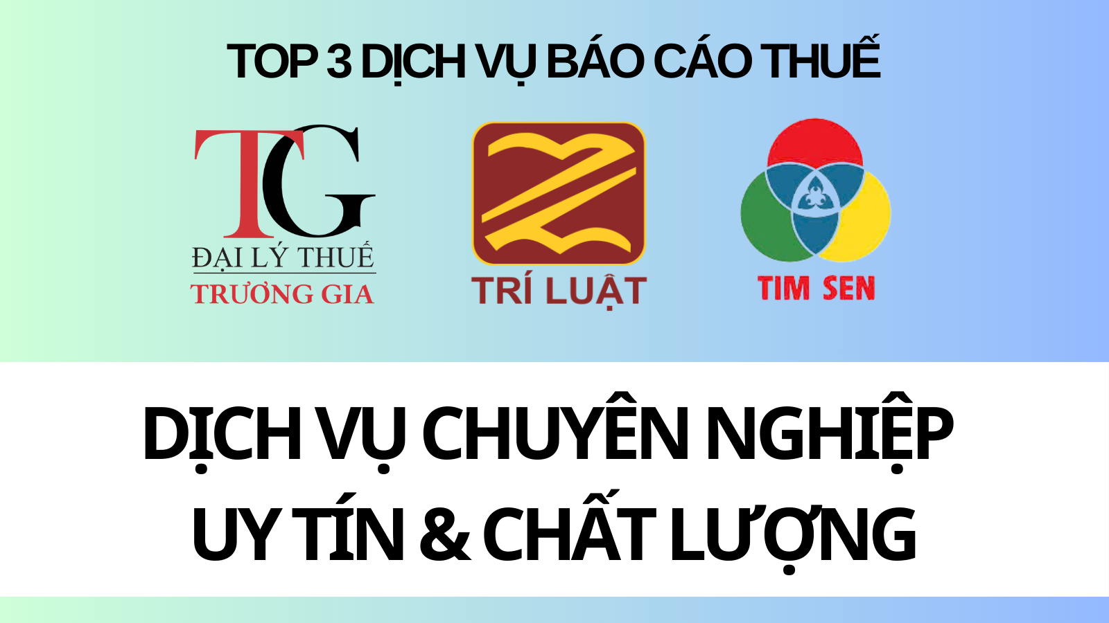 cong-ty-dich-vu-bao-cao-thue-uy-tin-tai-tphcm-1734506615.png