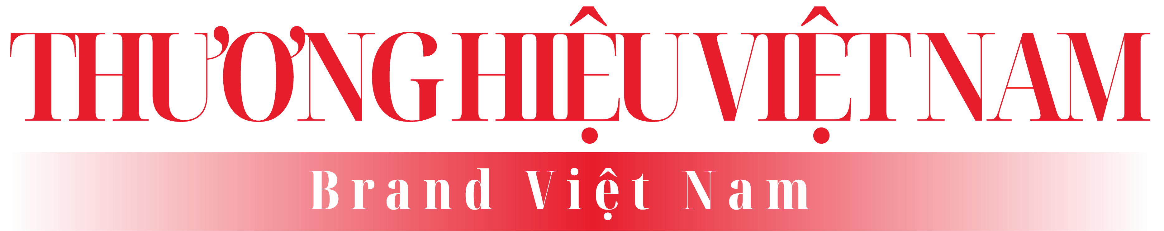 Thương hiệu Việt Nam