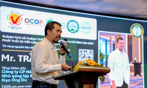 Từ hạt lúa đến tài chính xanh: ĐBSCL tìm lời giải cho chuỗi giá trị nông nghiệp mới