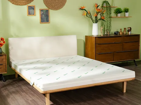Gummi đồng hành cùng thế hệ sống có gu, tiêu dùng có chọn lọc