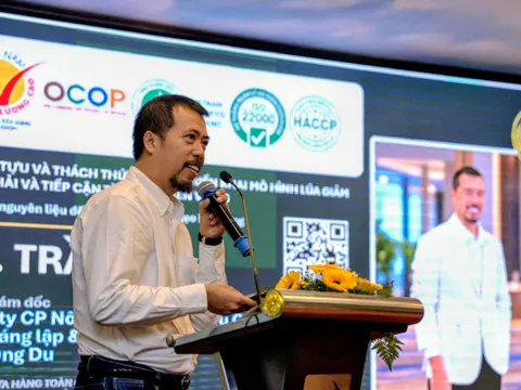 Từ hạt lúa đến tài chính xanh: ĐBSCL tìm lời giải cho chuỗi giá trị nông nghiệp mới